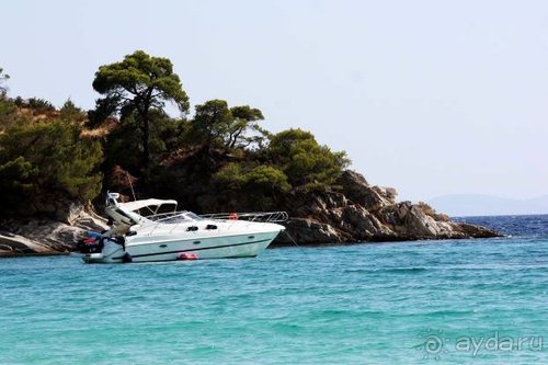 Из румын в греки