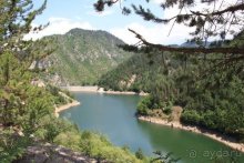 Из румын в греки