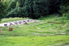 Из румын в греки