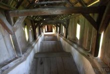 Из румын в греки