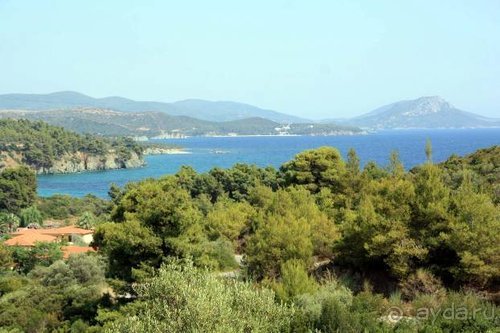 Из румын в греки