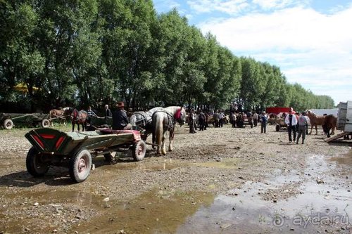 Из румын в греки