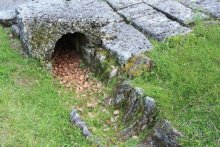 Из румын в греки