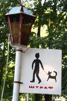 Из румын в греки