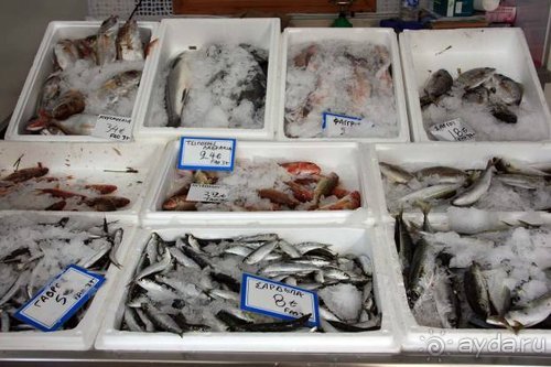 Из румын в греки