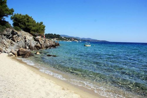 Из румын в греки