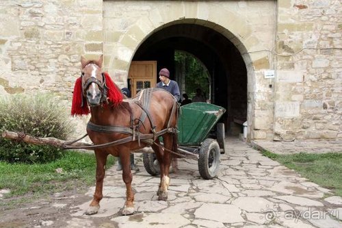 Из румын в греки