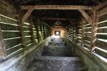 Из румын в греки