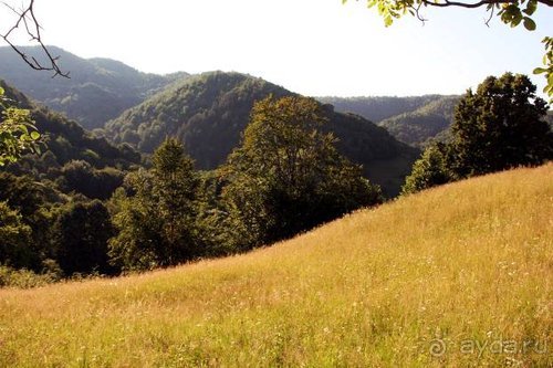 Из румын в греки