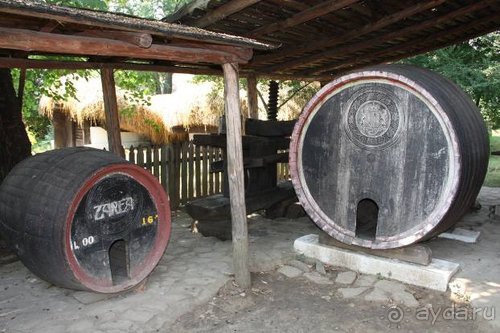 Из румын в греки