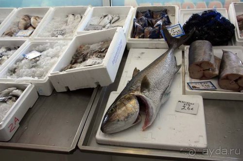 Из румын в греки