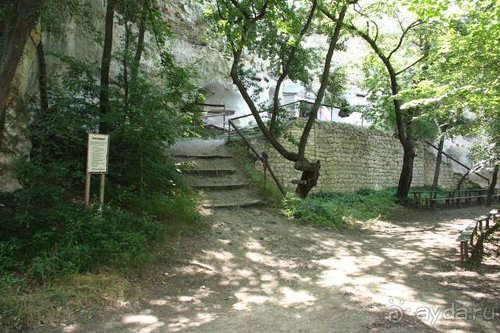 Из румын в греки