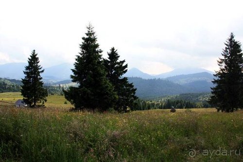 Из румын в греки