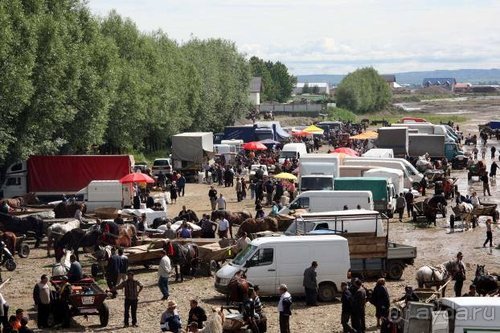 Из румын в греки