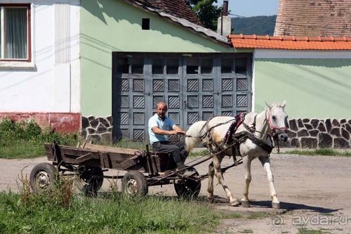 Из румын в греки