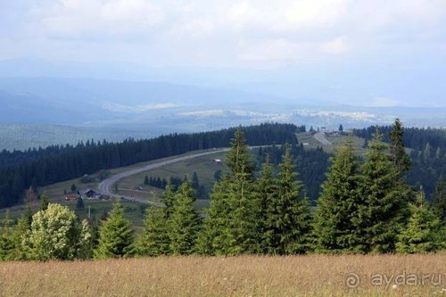 Из румын в греки