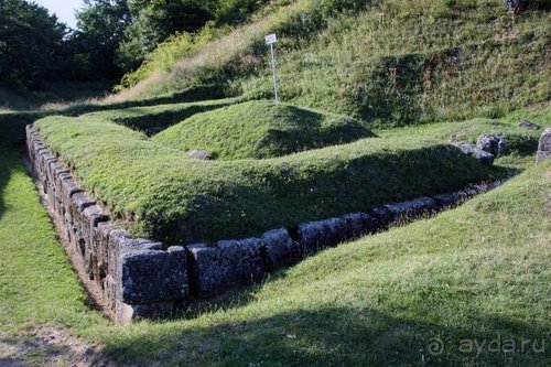 Из румын в греки