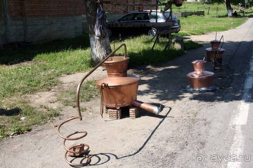 Из румын в греки