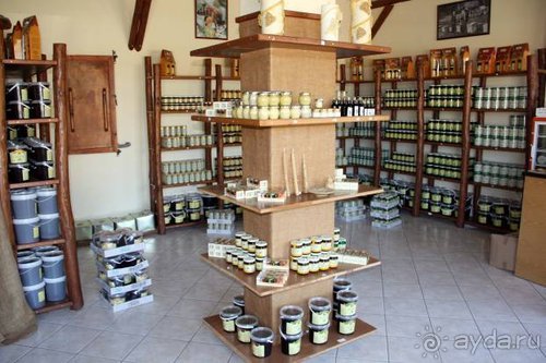 Из румын в греки