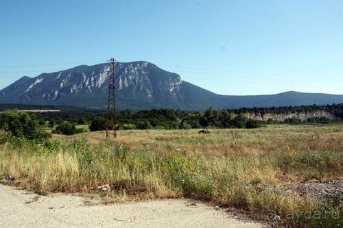 Из румын в греки