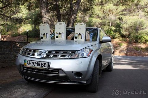 Из румын в греки