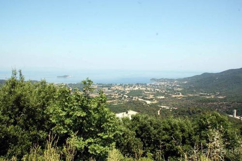 Из румын в греки