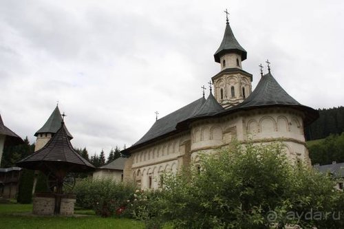 Из румын в греки