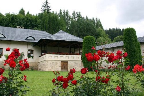 Из румын в греки