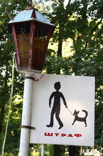 Из румын в греки