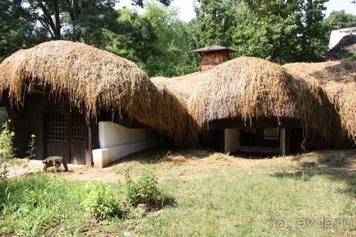 Из румын в греки