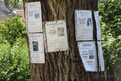 Из румын в греки