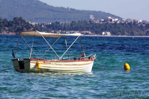 Из румын в греки