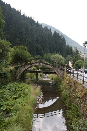 Из румын в греки