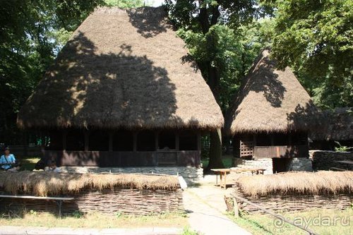 Из румын в греки