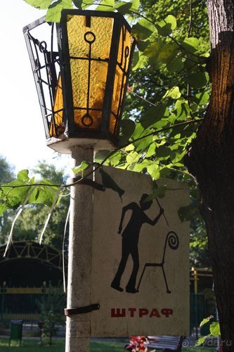 Из румын в греки