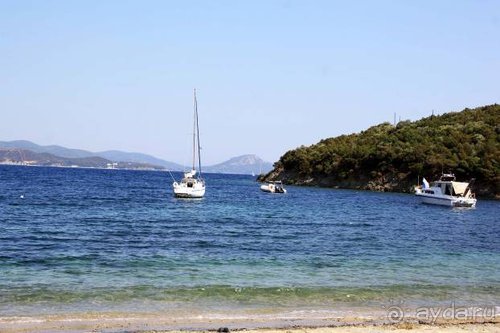 Из румын в греки