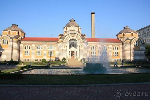 Из румын в греки