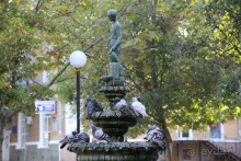 Бердянск