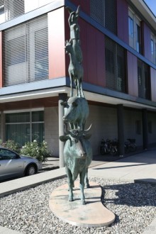 фото Greif hotel Bolzano