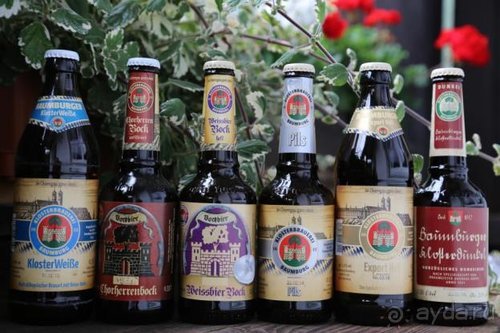 По пояс в небе: путешествие через 16 городов Австрии и Германии