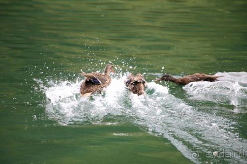 По пояс в небе: путешествие через 16 городов Австрии и Германии