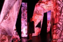 По пояс в небе: путешествие через 16 городов Австрии и Германии