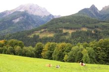 По пояс в небе: путешествие через 16 городов Австрии и Германии