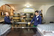 По пояс в небе: путешествие через 16 городов Австрии и Германии