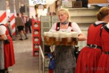 По пояс в небе: путешествие через 16 городов Австрии и Германии