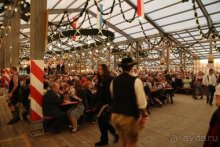 По пояс в небе: путешествие через 16 городов Австрии и Германии