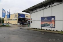 По пояс в небе: путешествие через 16 городов Австрии и Германии