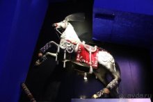 По пояс в небе: путешествие через 16 городов Австрии и Германии