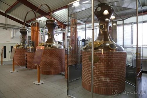 По пояс в небе: путешествие через 16 городов Австрии и Германии