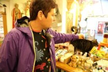 По пояс в небе: путешествие через 16 городов Австрии и Германии